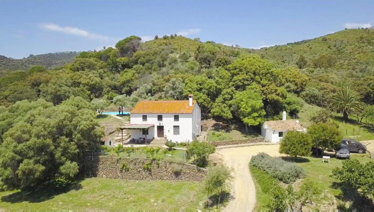 Finca Sta Teresa, Casa Grande Estepona Esterno foto