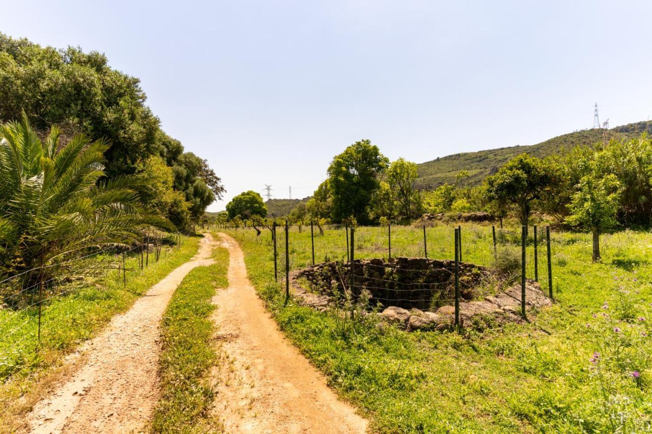 Finca Sta Teresa, Casa Grande Estepona Esterno foto