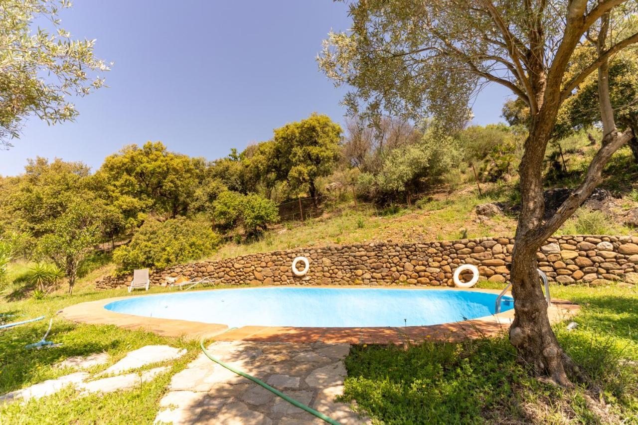Finca Sta Teresa, Casa Grande Estepona Esterno foto