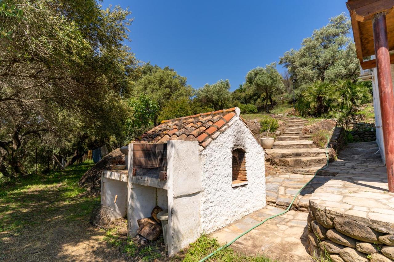 Finca Sta Teresa, Casa Grande Estepona Esterno foto