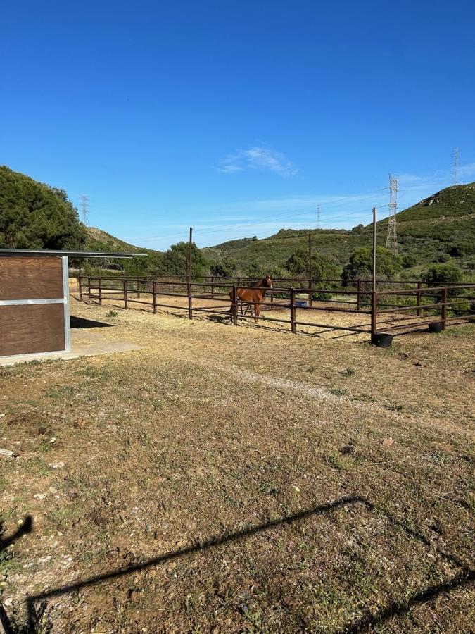 Finca Sta Teresa, Casa Grande Estepona Esterno foto