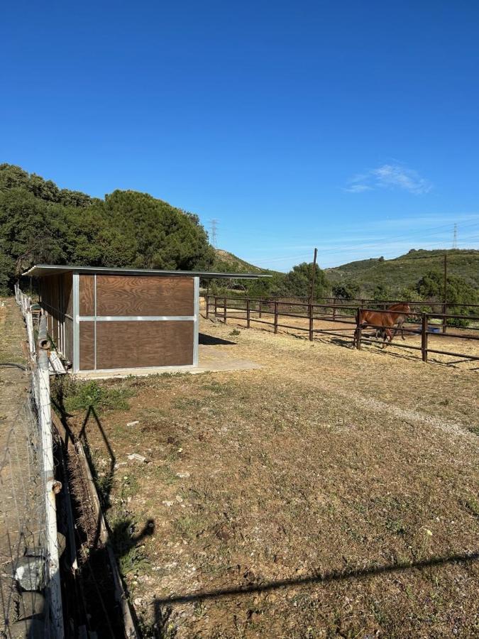 Finca Sta Teresa, Casa Grande Estepona Esterno foto
